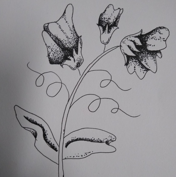 flowers138